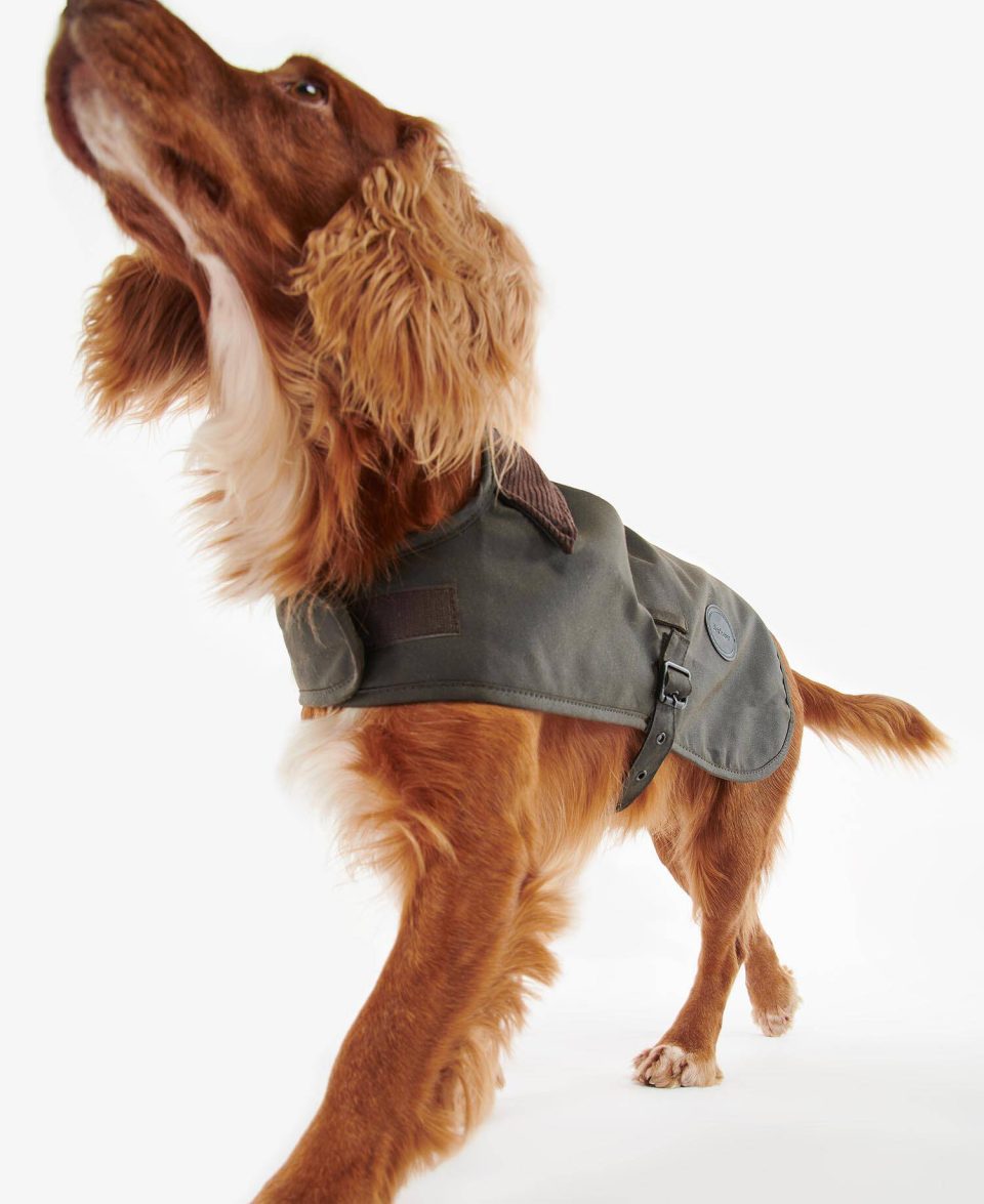 Waxed Dog Coat