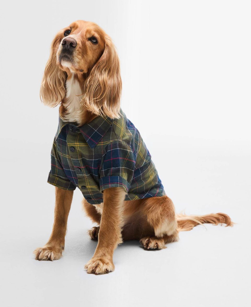 Tartan Fortrose Dog Shirt