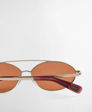 Oval Aviator Sunglasses