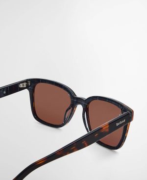 Square Sunglasses